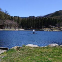 サクラマスを釣りに行ったんだが ～平谷湖フィッシングスポット～